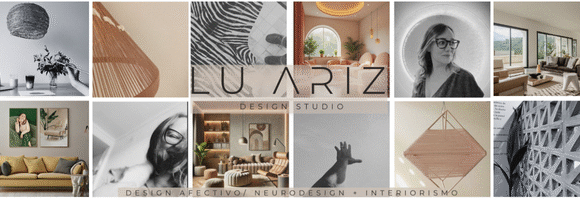 Lu ariz design studio